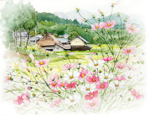 297303 (a): :1024x768